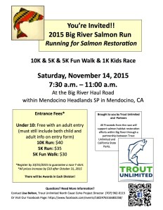 SalmonRun Flyer_Final